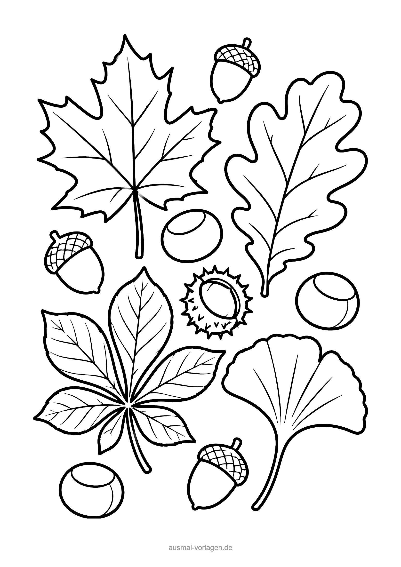 Herbstblätter Ausmalbild